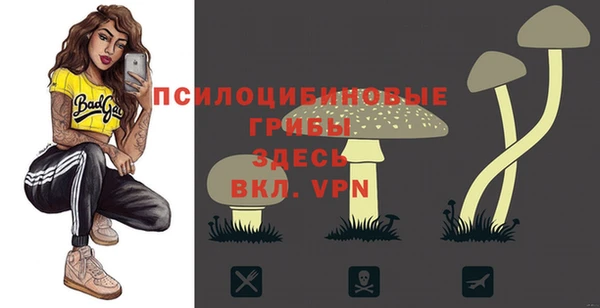 первитин Алексин