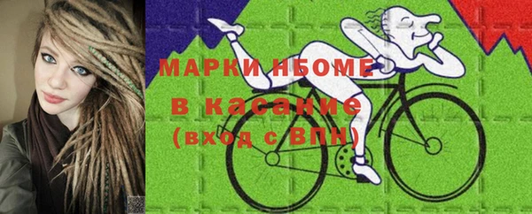 соль ск Алзамай