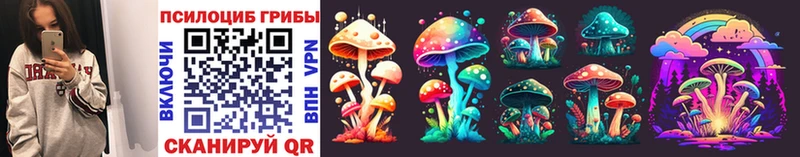 Псилоцибиновые грибы GOLDEN TEACHER  omg вход  Николаевск 